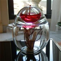Bougie parfumée
