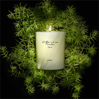 Bougie parfumée