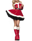 Costume de Noêl