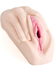 Vulve artificielle